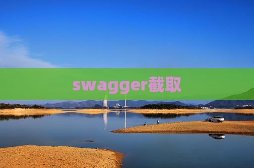 swagger截取